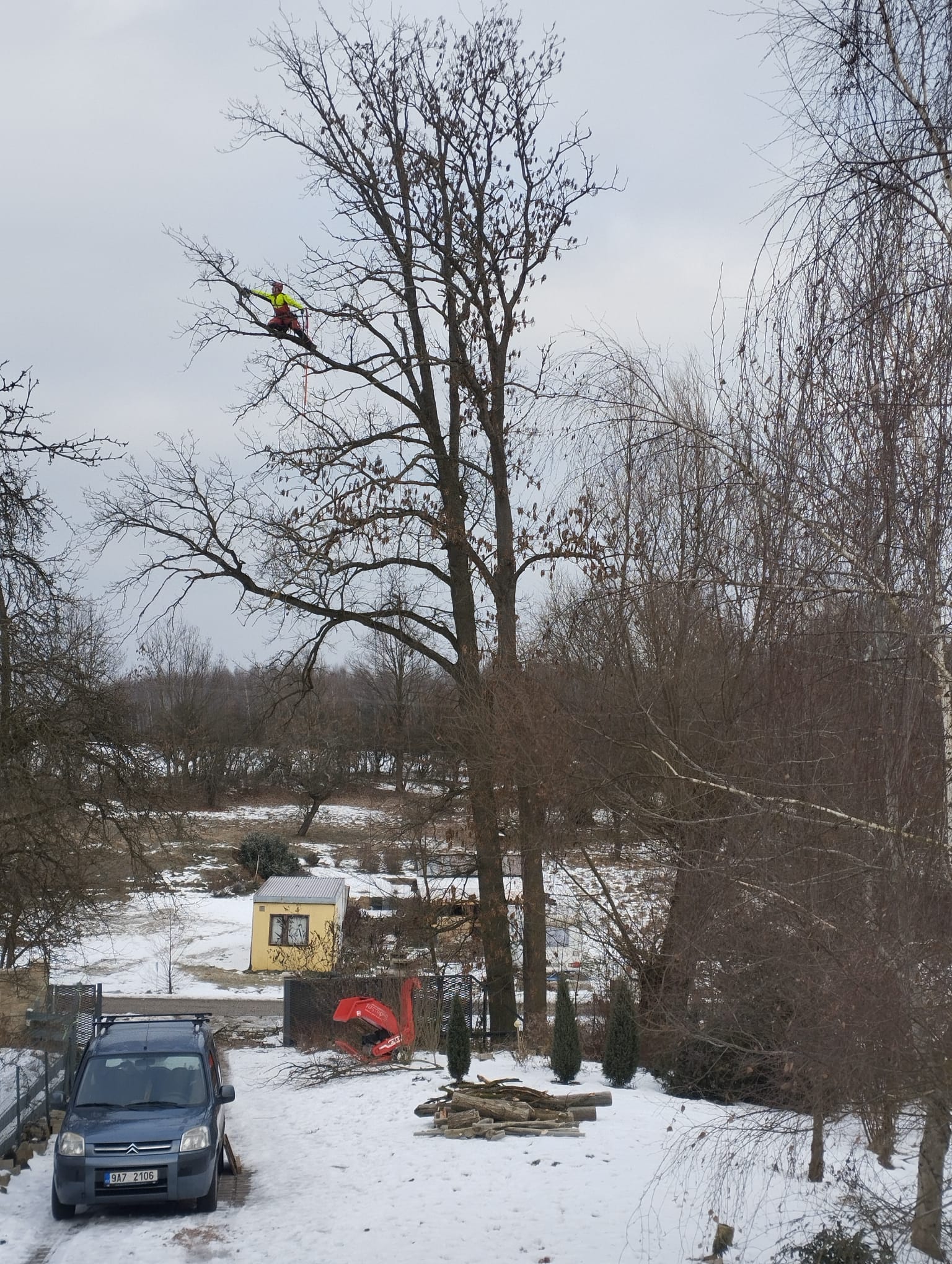 Arborist vysoko v zimním stromě, zasněžená krajina