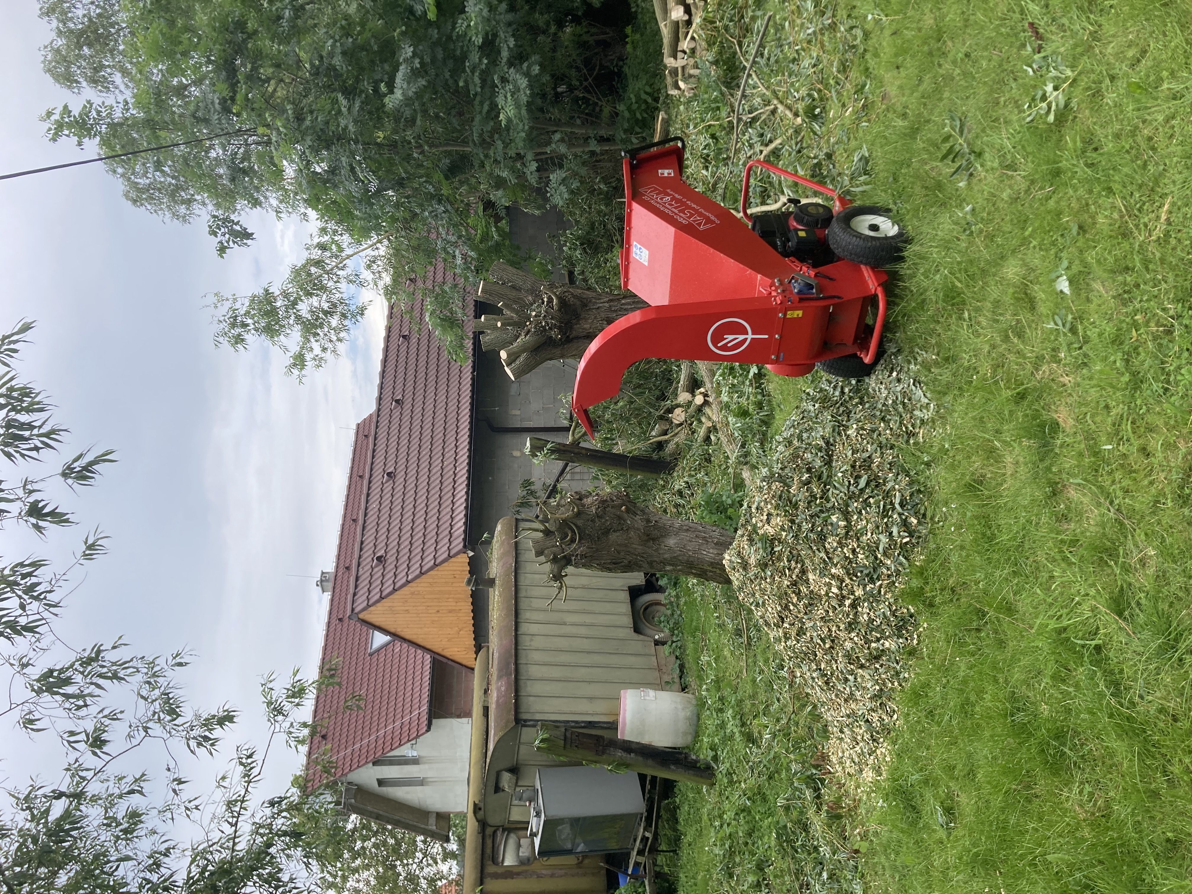 Pohled zdola na arborista v koruně stromu